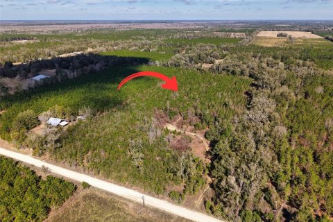 Land in Trenton, Florida № 2329162