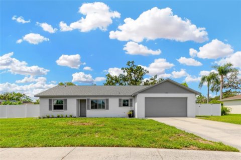 House in Riverview, Florida 3 bedrooms, 145.11 sq.m. № 1797800 - photo 1