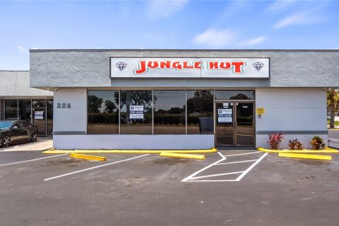 Propiedad comercial en alquiler en Tavares, Florida № 1688137 - foto 3