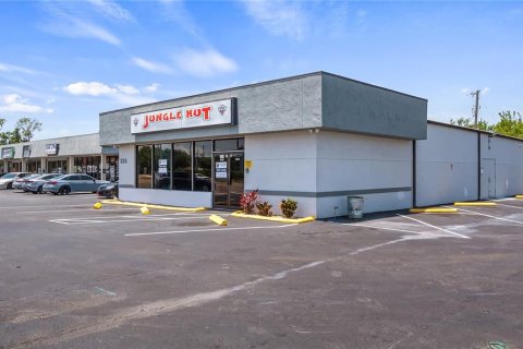 Propiedad comercial en alquiler en Tavares, Florida № 1688137 - foto 26