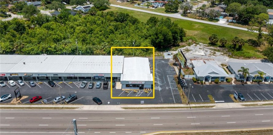 Propiedad comercial en Tavares, Florida № 1688137
