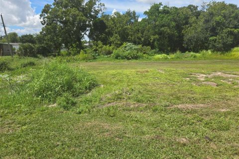 Terreno en venta en Lakeland, Florida № 1359622 - foto 7