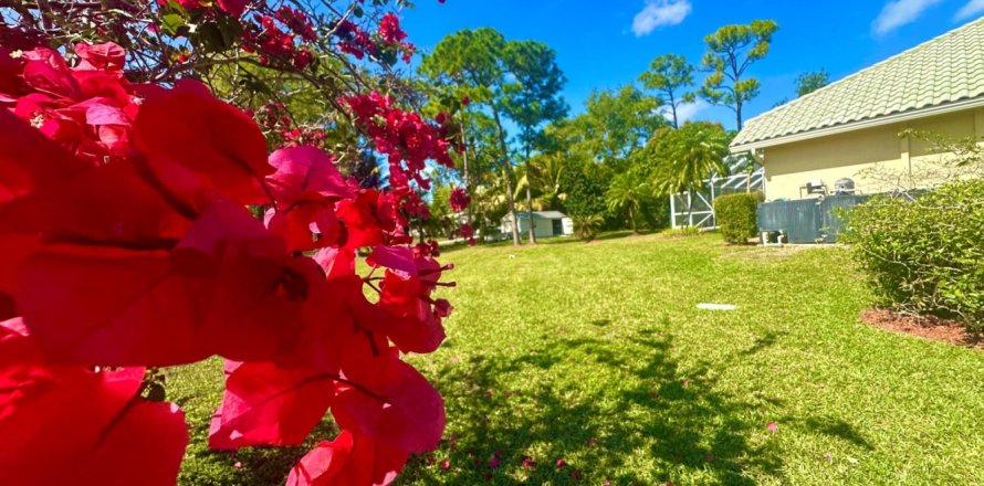 House in West Palm Beach, Florida 4 bedrooms, 311.22 sq.m. № 1171434