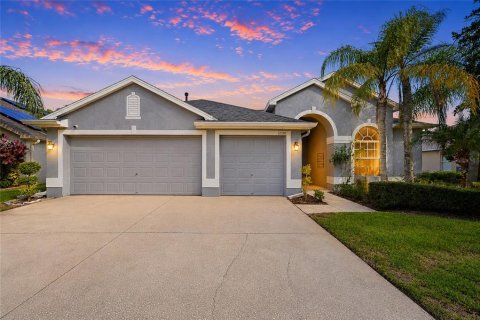 House in Tampa, Florida 4 bedrooms, 203.46 sq.m. № 2291656