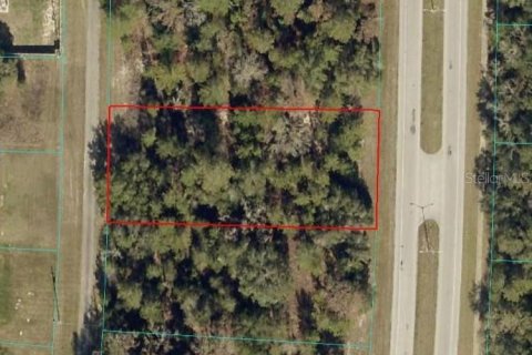 Terrain à Ocala, Floride № 2165032