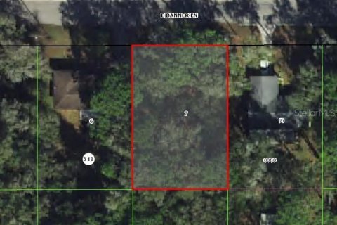 Land in Inverness, Florida № 2400313 - photo 2