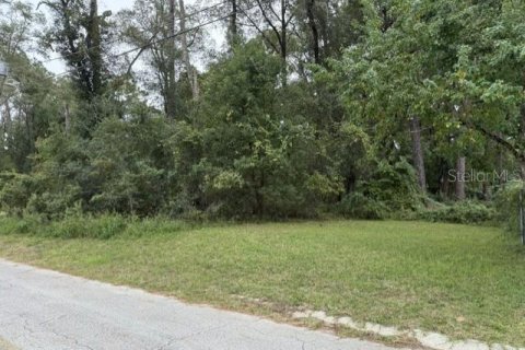 Land in Inverness, Florida № 2400313