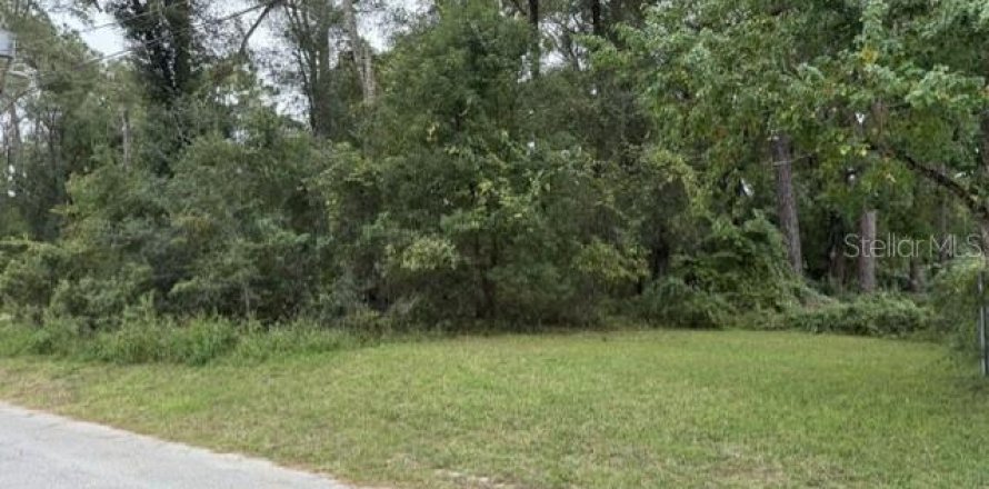Land in Inverness, Florida № 2400313