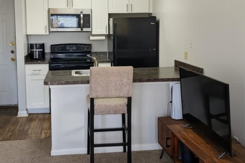 Condo in Saint Petersburg, Florida, 1 bedroom № 2222449 - photo 13