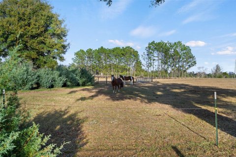 House in Alachua, Florida 2 bedrooms, 211.82 sq.m. № 2201417 - photo 16