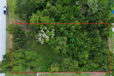 Terrain à vendre à Ocala, Floride № 1883008 - photo 3