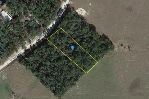 Land in Branford, Florida № 2158923