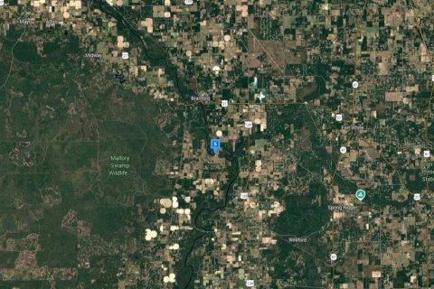 Land in Branford, Florida № 2158923 - photo 4