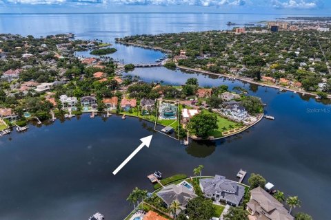 Villa ou maison à vendre à Saint Petersburg, Floride: 5 chambres, 477.89 m2 № 1900655 - photo 3