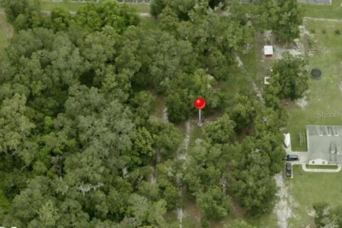 Land in Plant City, Florida № 2130395