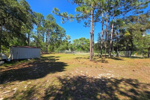 Land in Citrus Springs, Florida № 2162306 - photo 2