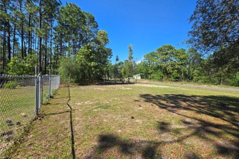 Land in Citrus Springs, Florida № 2162306 - photo 5