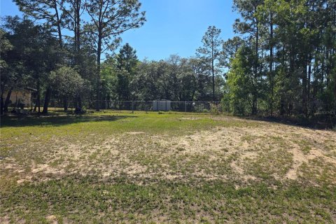 Land in Citrus Springs, Florida № 2162306 - photo 4