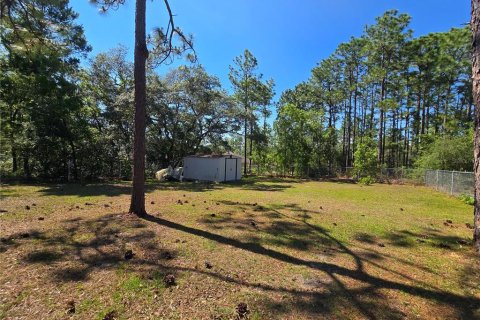 Land in Citrus Springs, Florida № 2162306 - photo 6
