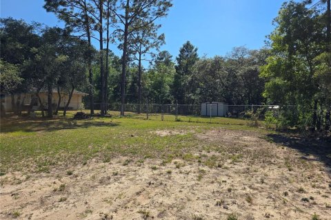 Land in Citrus Springs, Florida № 2162306 - photo 7