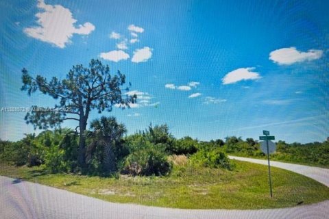 Terrain à Port Charlotte, Floride № 2169665