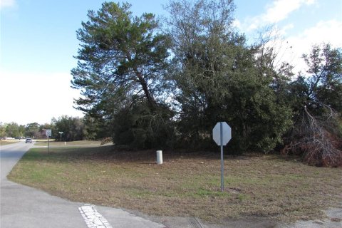 Terreno en venta en Ocala, Florida № 1395648 - foto 10