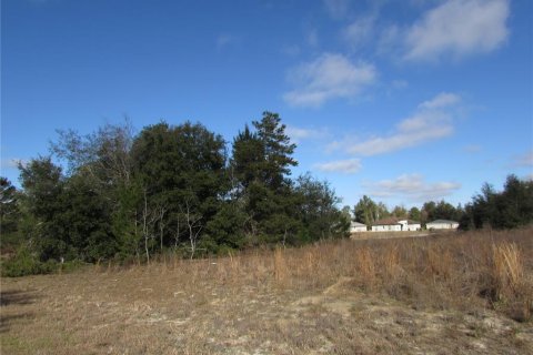 Terreno en venta en Ocala, Florida № 1395648 - foto 13