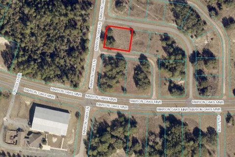 Terreno en venta en Ocala, Florida № 1395648 - foto 4