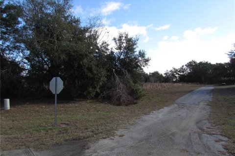 Terreno en venta en Ocala, Florida № 1395648 - foto 11