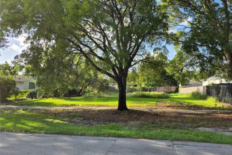 Terrain à vendre à Florida City, Floride № 1935934 - photo 3