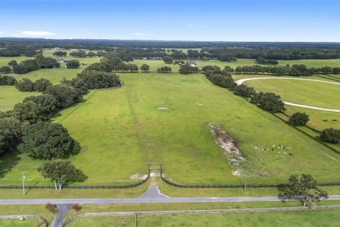 Land in Morriston, Florida № 1831648 - photo 1