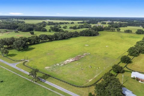 Land in Morriston, Florida № 1831648 - photo 2