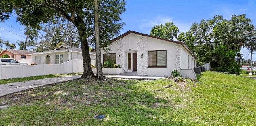 House in Tampa, Florida 5 bedrooms, 181.07 sq.m. № 2344652