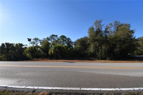 Land in Port Charlotte, Florida № 2214826