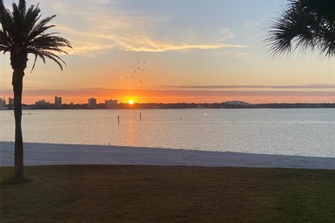 Copropriété à louer à Clearwater, Floride: 2 chambres, 121.7 m2 № 2412661 - photo 26