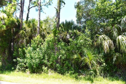Terrain à North Port, Floride № 2167168