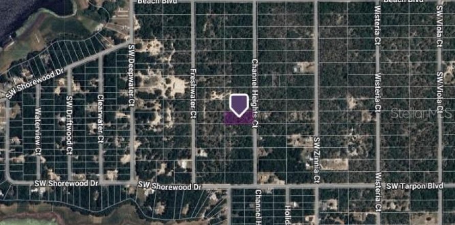 Terreno en Dunnellon, Florida № 2162579