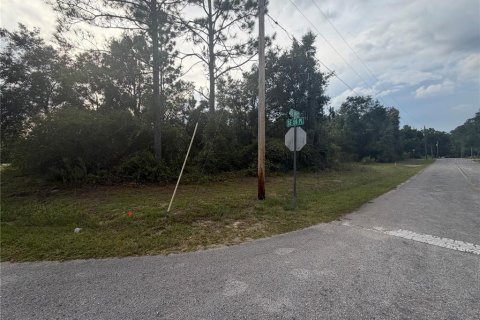 Land in Ocklawaha, Florida № 2391502 - photo 6