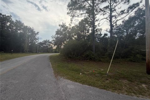 Land in Ocklawaha, Florida № 2391502 - photo 5
