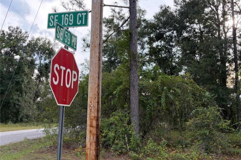 Land in Ocklawaha, Florida № 2391502 - photo 3