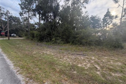 Land in Ocklawaha, Florida № 2391502 - photo 4