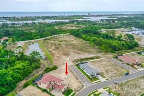 Terreno en venta en Palm Coast, Florida № 1678366 - foto 11