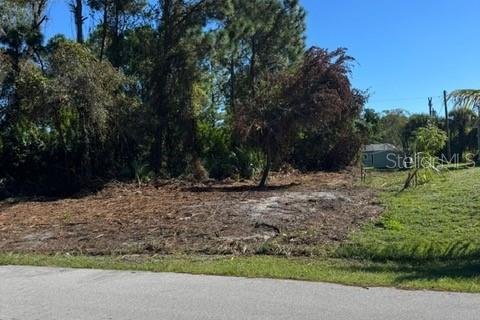 Land in Palm Bay, Florida № 2224385