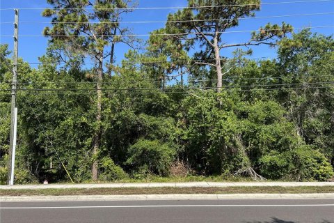 Terreno en Orlando, Florida № 2233963