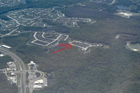 Villa ou maison à vendre à Wesley Chapel, Floride: 6 chambres, 448.72 m2 № 2296303 - photo 4