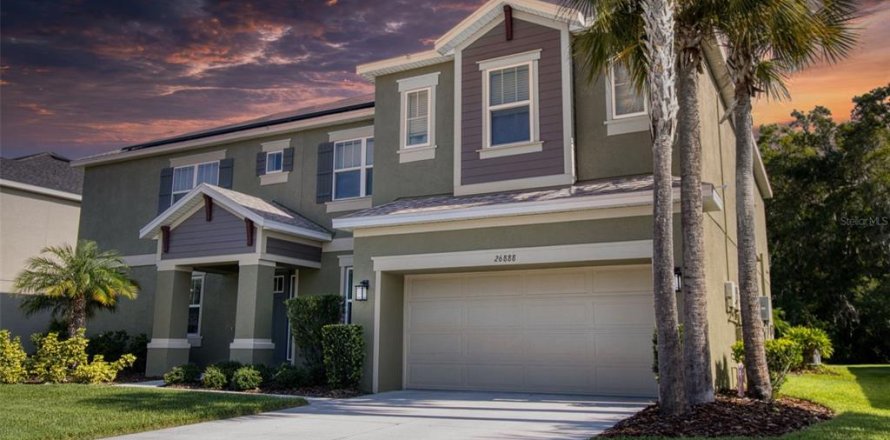 Villa ou maison à Wesley Chapel, Floride 6 chambres, 448.72 m2 № 2296303