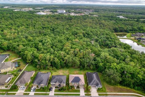 Villa ou maison à vendre à Wesley Chapel, Floride: 6 chambres, 448.72 m2 № 2296303 - photo 3