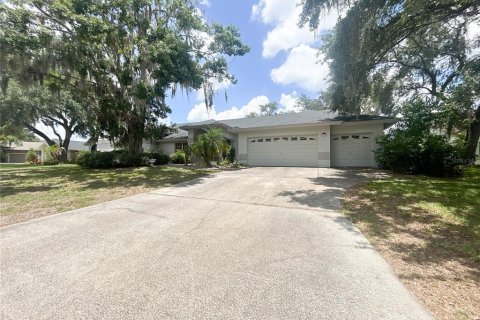 Villa ou maison à vendre à Plant City, Floride: 4 chambres, 317.08 m2 № 1785569 - photo 2