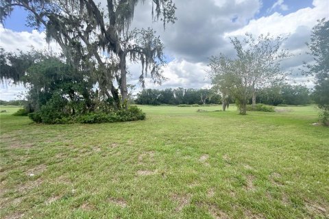 Villa ou maison à vendre à Plant City, Floride: 4 chambres, 317.08 m2 № 1785569 - photo 20