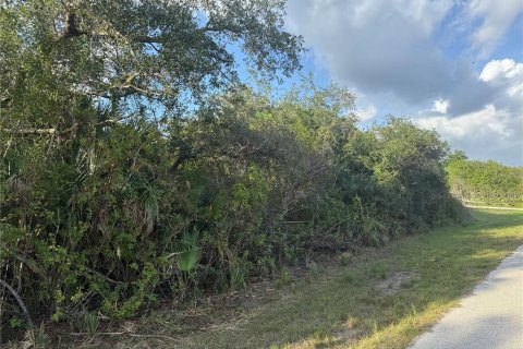 Land in Port Charlotte, Florida № 2162466 - photo 6